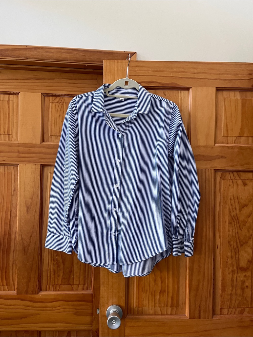 Classic Blue Stripe Button-Up Shirt
